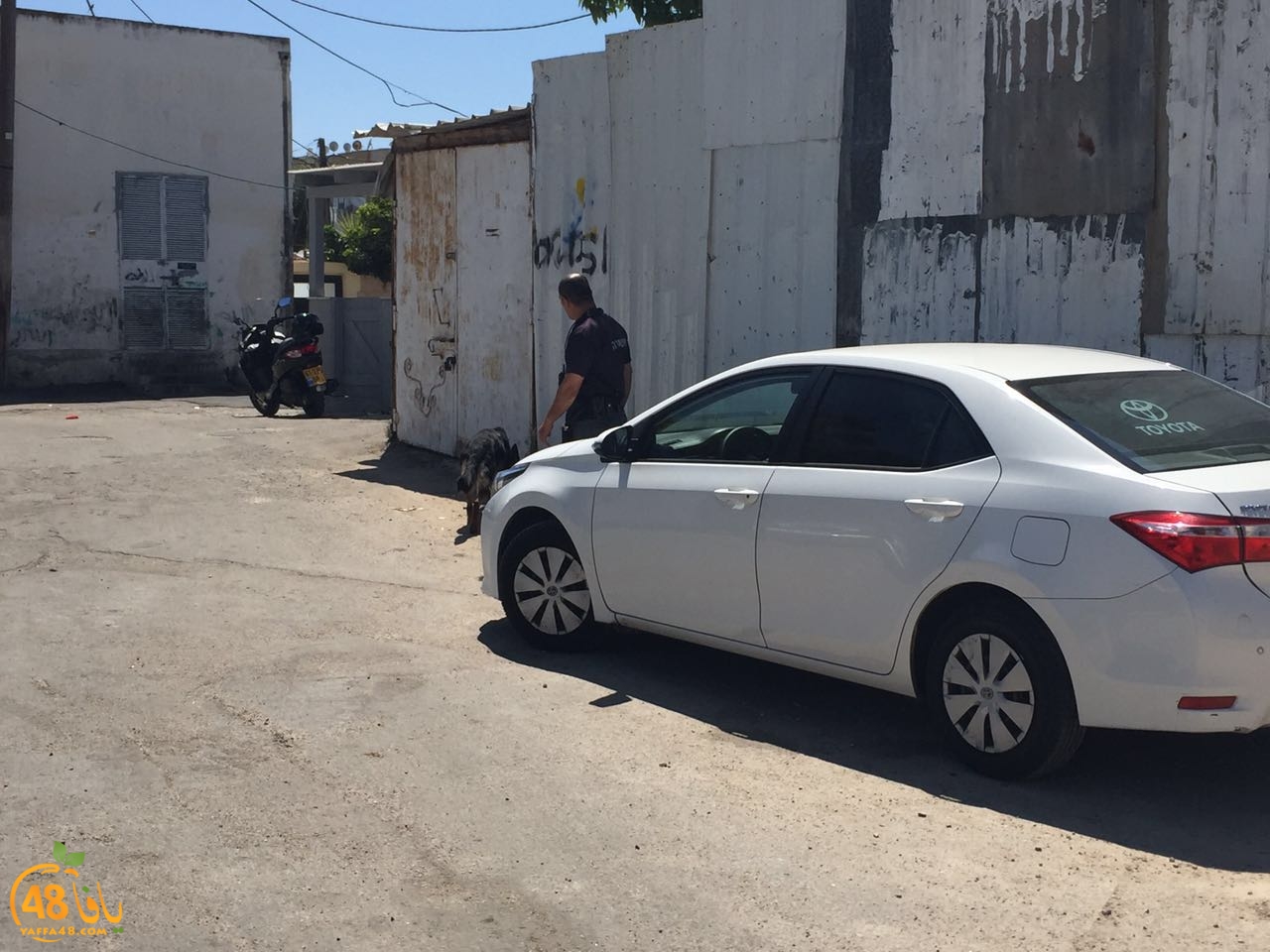 712e2706-84f2-4cd0-b81a-773217f0e648 - Copy.jpg